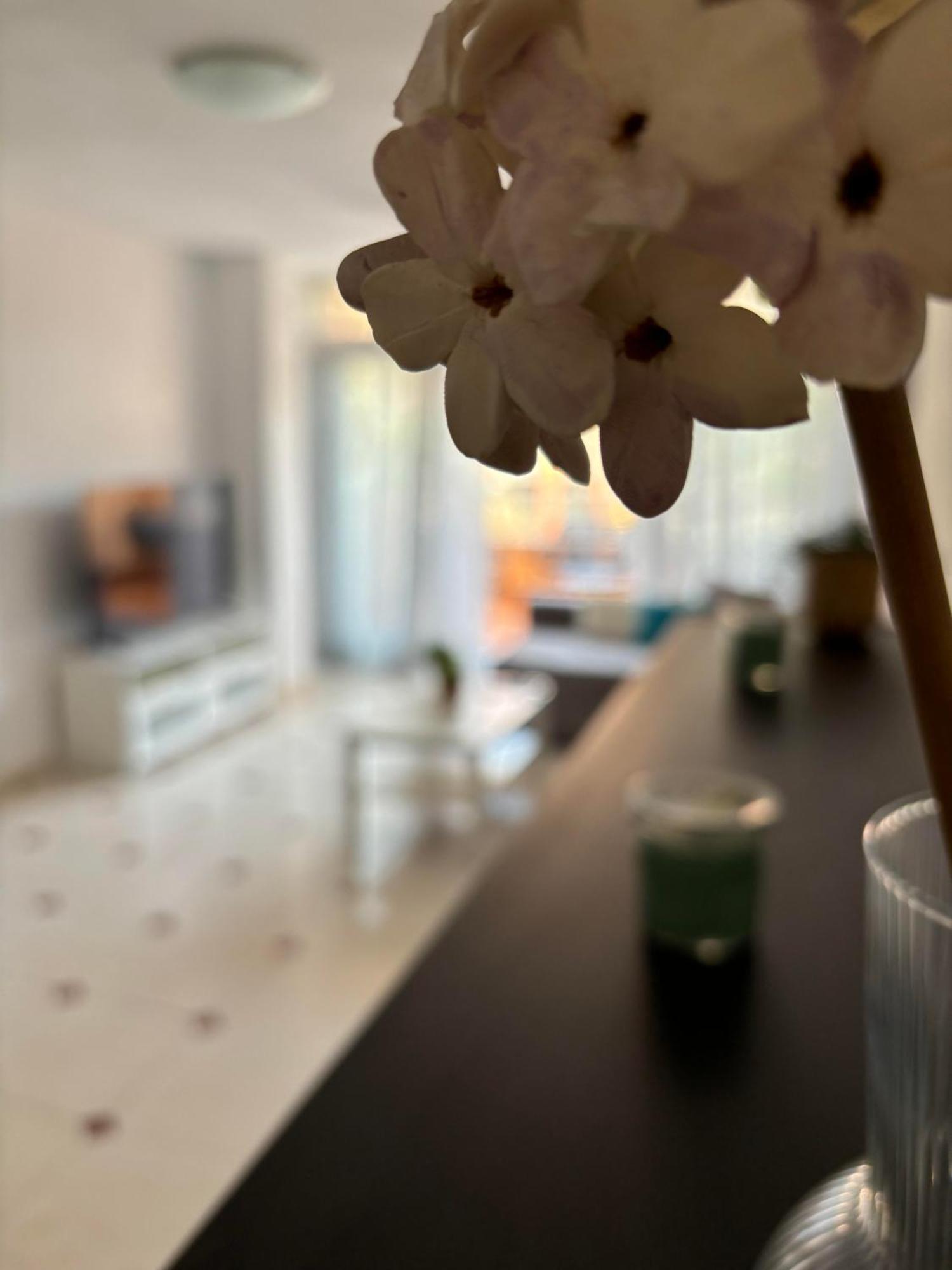 Piso Centrico Con Parking Privado Y Terraza Super Apartamento